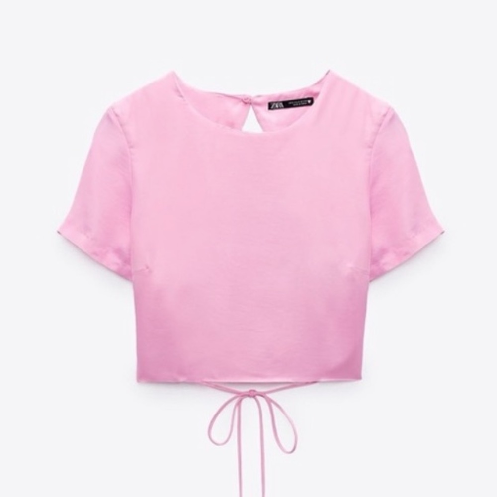 Zara cropped pink top (backless)